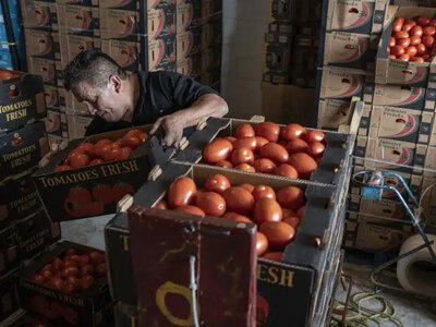 В уряді заявили: масові запаси продуктів не потрібні навіть під час цінових коливань і тривог