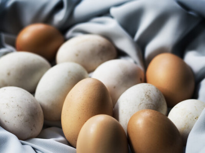 Вживання яєць знижує ризик розвитку хвороби Альцгеймера — Experts Club