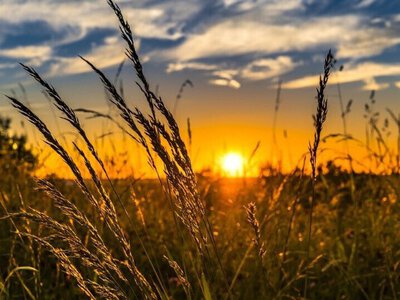 Погода готує різкий перепад: де в Україні задощить, а кому чекати тепло