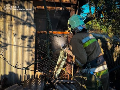 На Миколаївщині гасили 37 пожеж. Що горіло (ФОТО)