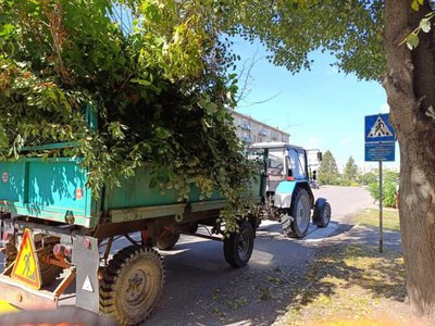 У місті на Рівненщині комунальники розчищають узбіччя від чагарників і гілля