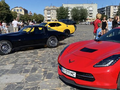 На Полтавщині бензинові та гібридні авто набирають популярності, електрокари — втрачають