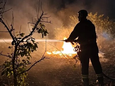Більше 2 гектарів Херсонщини охопили пожежі через атаки РФ за добу