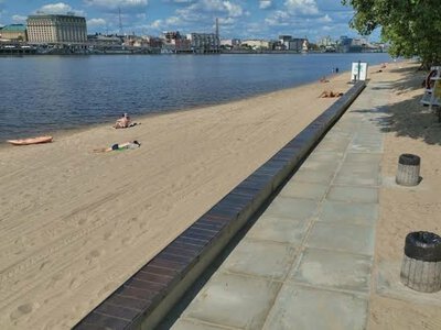 Куди подівся білий пісок? Чому величезні пляжі Труханового острова перетворилися на ліс