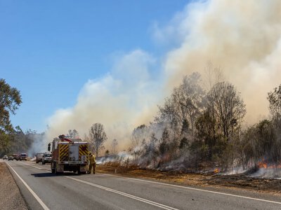 На південному сході Квінсленду зафіксували 78 лісових пожеж