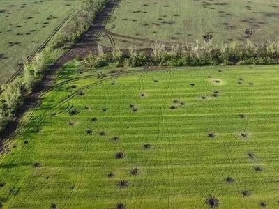 На Херсонщині розмінували 452,9 тисячі гектарів сільгоспугідь