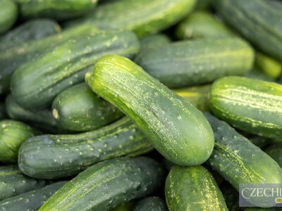 Чех купить їх для закруток, українець — з’їсть свіжими: 7 продуктів, які ми їмо з чехами по-різному