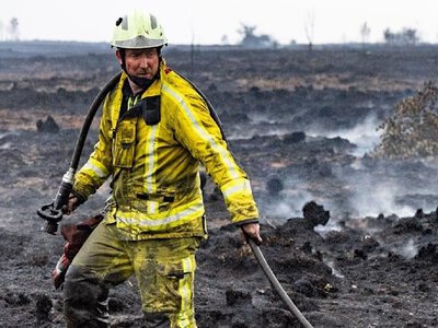 У Європі від початку року вигоріло майже 650 тисяч гектарів лісу