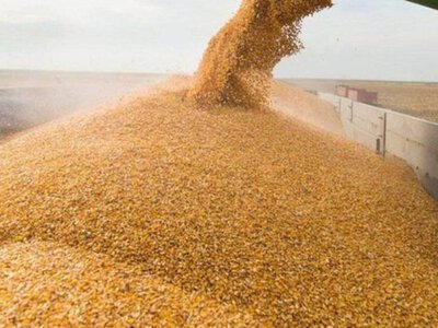 Логістика без Чорного моря коштувала аграріям на 50- 90 євро за тонну дорожче