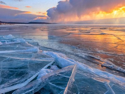 У Сибіру знайшли тварину, яка ожила після 24 тисяч років у мерзлоті