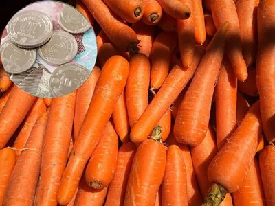 Морква в Україні: ціни падають