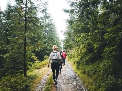 На Прикарпатті туристичний збір за вісім місяців 2026 року перевищив 38 мільйонів гривень