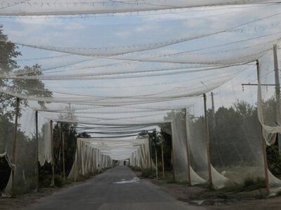 FPV-дрони на «шахедах»: наскільки ефективна технологія та чи можуть окупанти її масштабувати