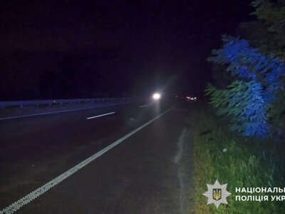 Поблизу Полтави водійка збила чоловіка із собакою та поїхала з місця ДТП