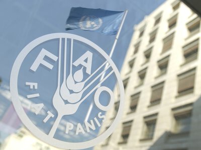 У світі подорожчали всі основні групи продовольства — FAO