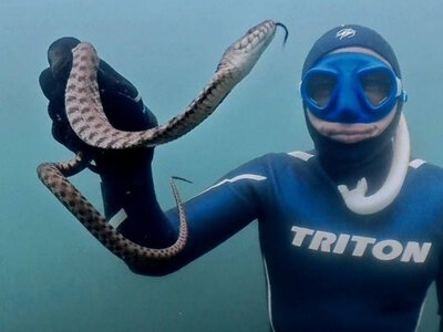 Дніпропетровщина має свою «анаконду»: дайвер зустрів змію під водою на 10-метровій глибині