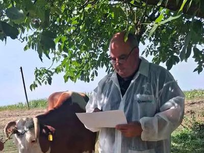 В Івано-Франківській області розпочалася щорічна інвентаризація поголів’я сільськогосподарських тварин та птиці у господарствах індивідуального сектору