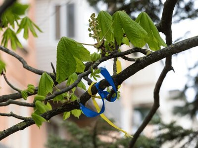  Повністю ослабла: зі Станіславської громади Херсонщини евакуювали жінку 