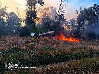 На Миколаївщині через обстріли вигоріло понад 313 гектарів екосистем