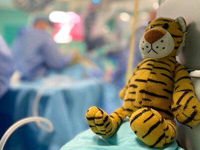 Нирку врятували за допомогою робота з ШІ: у Львові провели складну операцію дитині