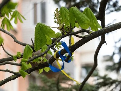 Зі Станіславської громади евакуювали виснажену жінку, яка місяць не їла хліб