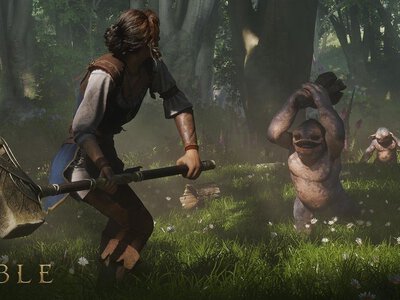 Розробники Fable кажуть, що кожен NPC створений вручну без використання рандомайзера
