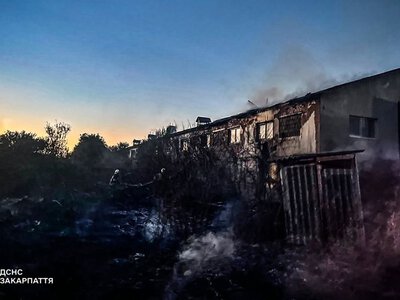 На Берегівщині суха трава спричинила пожежу у складському приміщенні