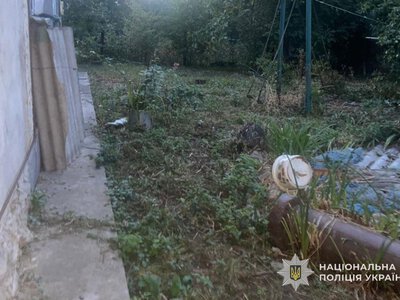 На Лановеччині судитимуть чоловіка за вбивство кота