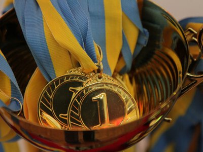 Кременчуцькі дзюдоїсти здобули три призові місця на турнірі у Києві