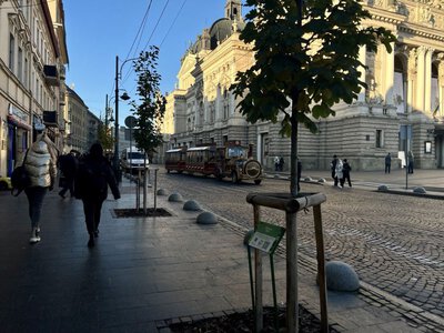 У центрі Львова зроблять безпечнішим хідник