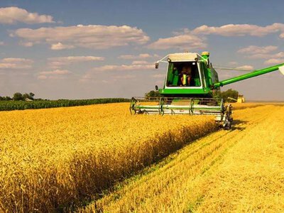 У Кременчуцькому районі завершили збирати ранні зернові — намолотили понад 192 тисячі тонн