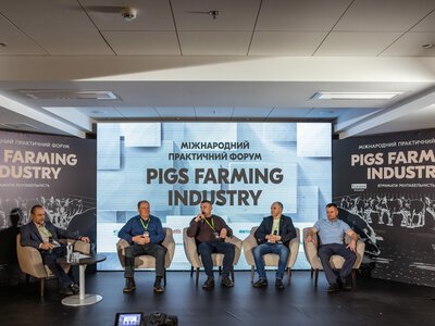 Pigs Farming Industry 2024: головні виклики свинарства