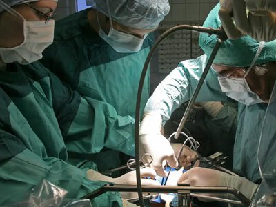 Трансплантація в Україні: у підкомітеті ВР обговорили шляхи вдосконалення системи та нові законодавчі ініціативи