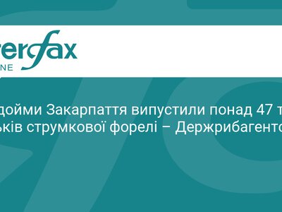 На Закарпатті у річки випустили 47 тисяч мальків форелі