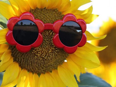 Погода на тиждень: від літніх +30°C до різкого похолодання з дощами 