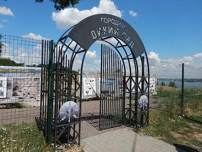 У Миколаєві невідомі влаштували тимчасове житло на території городища «Дикий сад»