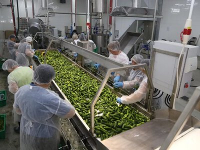 На Одещині з’явиться агропарк на 23 га: планують створити 1000 робочих місць