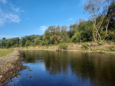 Лімниця на Франківщині сильно обміліла та заростає водоростями: що відбувається з річкою