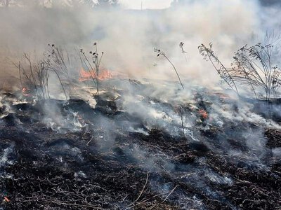 У Саф’янах вогонь з поля перекинувся на будинок: постраждали двоє малолітніх дітей та їхня мати