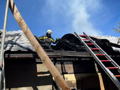 Рятувальники ліквідували масштабну пожежу під Іршавою — PMG.ua