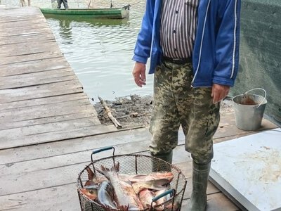 На Вінниччині підприємець передав військовим кілька сотень кілограм риби