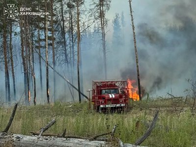 Палають Ізюмські ліси: пожежі охопили близько 114 га