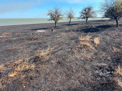 Одещина втрачає природні території: що відбувається у «Тузловських лиманах»