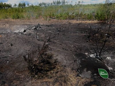 В Україні за тиждень через ворожі атаки вигоріли 84 гектари лісу