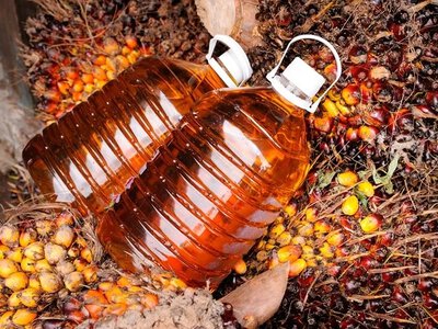 Стала пальмова олія: 20% ринку вже за нами