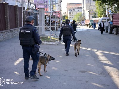 В Умані безпеку паломників забезпечують кінологи ДСНС із мінно-пошуковими собаками