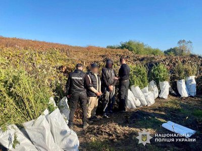 9 років за ґратами: у Мукачеві суд виніс вирок наркоділку, який вирощував коноплі