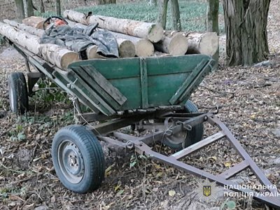 На Шумщині чоловік незаконно вирубував дерева у заказнику