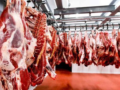 Україна готується відкрити ринок Великої Британії для експорту яловичини