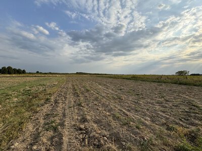 На Глобинщині повернули державі понад 200 гектарі землі